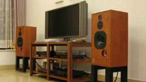 拥有最佳音色与平衡性的P3ESR音箱