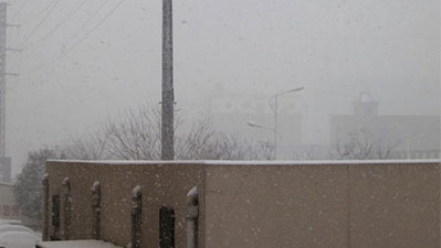平顶山入冬第一场雪