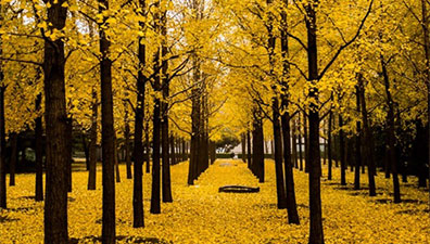 音响发烧不能丢掉常识！