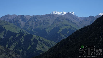 音响之“潮流”-2